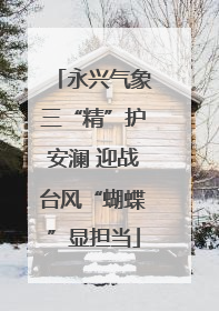 永兴气象三“精”护安澜 迎战台风“蝴蝶”显担当