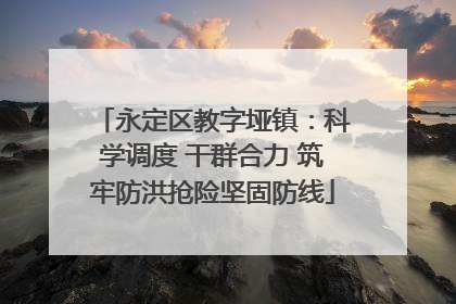 永定区教字垭镇：科学调度 干群合力 筑牢防洪抢险坚固防线