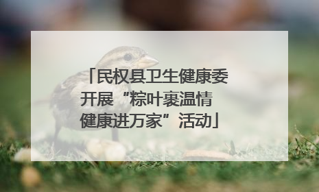 民权县卫生健康委开展“粽叶裹温情 健康进万家”活动
