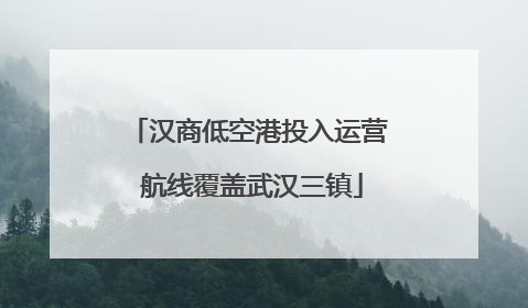 汉商低空港投入运营 航线覆盖武汉三镇