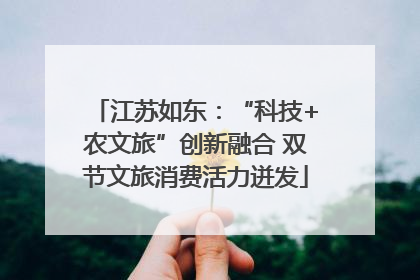江苏如东：“科技+农文旅”创新融合 双节文旅消费活力迸发