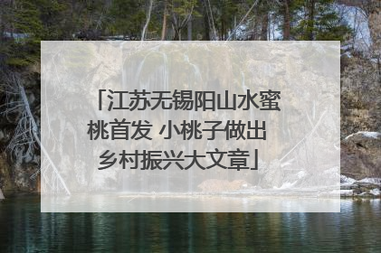 江苏无锡阳山水蜜桃首发 小桃子做出乡村振兴大文章