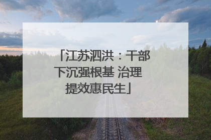 江苏泗洪：干部下沉强根基 治理提效惠民生