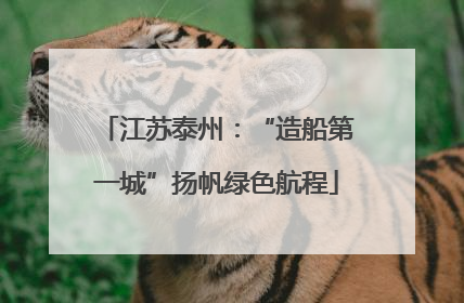 江苏泰州：“造船第一城”扬帆绿色航程