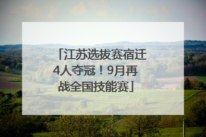 江苏选拔赛宿迁4人夺冠!9月再战全国技能赛