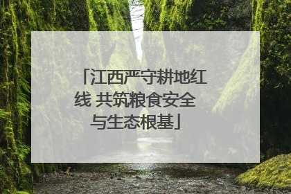 江西严守耕地红线 共筑粮食安全与生态根基
