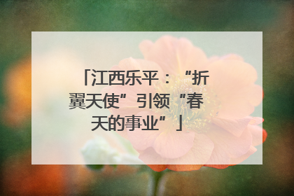 江西乐平:“折翼天使”引领“春天的事业”