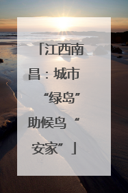 江西南昌：城市“绿岛”助候鸟“安家”