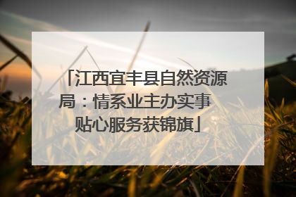 江西宜丰县自然资源局：情系业主办实事 贴心服务获锦旗