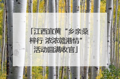 江西宜黄“乡亲桑梓行 浓浓赣港情”活动圆满收官