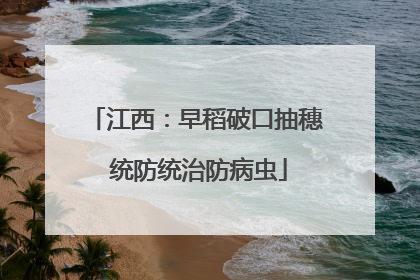 江西：早稻破口抽穗 统防统治防病虫
