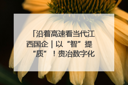 沿着高速看当代江西国企｜以“智”提“质”！贵冶数字化转型迈出新步伐