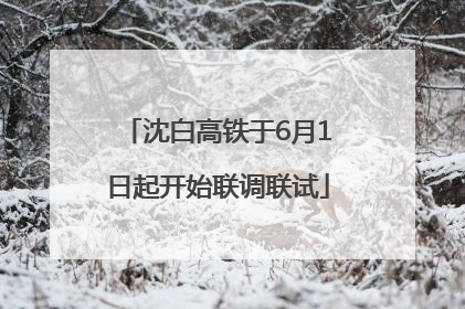 沈白高铁于6月1日起开始联调联试