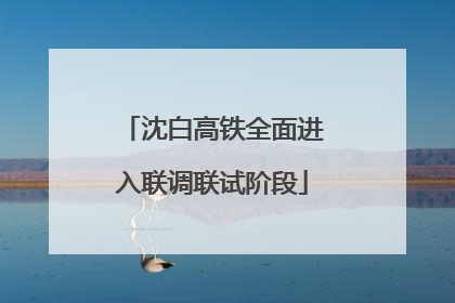 沈白高铁全面进入联调联试阶段