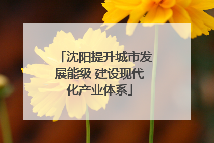 沈阳提升城市发展能级 建设现代化产业体系