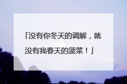 没有你冬天的调解，就没有我春天的菠菜！
