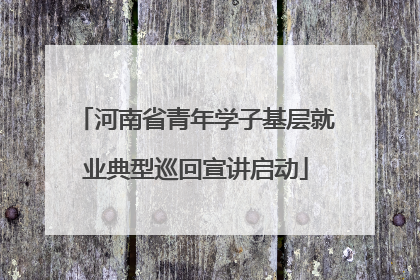 河南省青年学子基层就业典型巡回宣讲启动