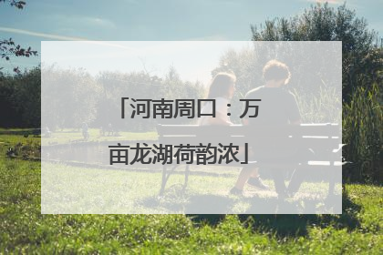 河南周口：万亩龙湖荷韵浓
