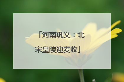 河南巩义：北宋皇陵迎麦收