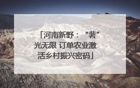 河南新野：“薯”光无限 订单农业激活乡村振兴密码
