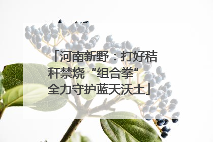 河南新野：打好秸秆禁烧“组合拳” 全力守护蓝天沃土