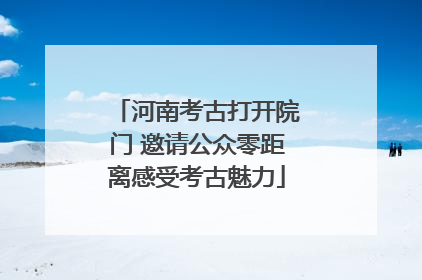 河南考古打开院门 邀请公众零距离感受考古魅力