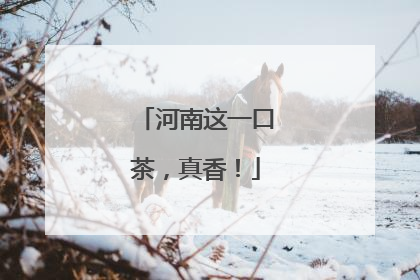 河南这一口茶，真香！