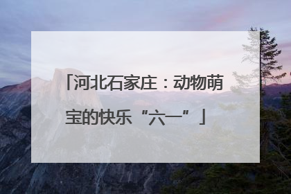 河北石家庄：动物萌宝的快乐“六一”
