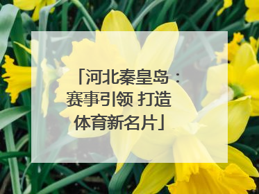 河北秦皇岛：赛事引领 打造体育新名片