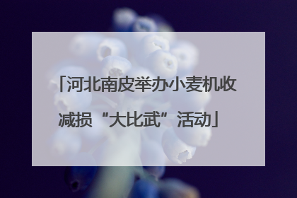 河北南皮举办小麦机收减损“大比武”活动