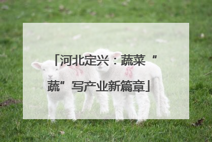 河北定兴：蔬菜“蔬”写产业新篇章