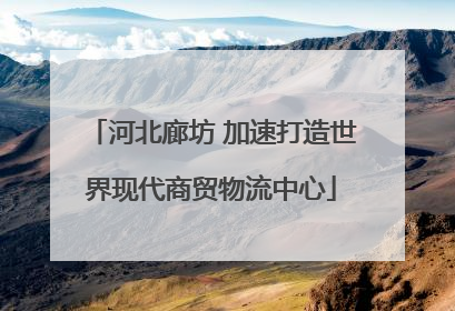 河北廊坊 加速打造世界现代商贸物流中心