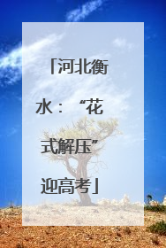 河北衡水：“花式解压”迎高考