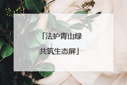 法护青山绿 共筑生态屏