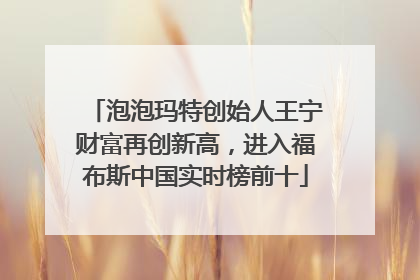 泡泡玛特创始人王宁财富再创新高，进入福布斯中国实时榜前十