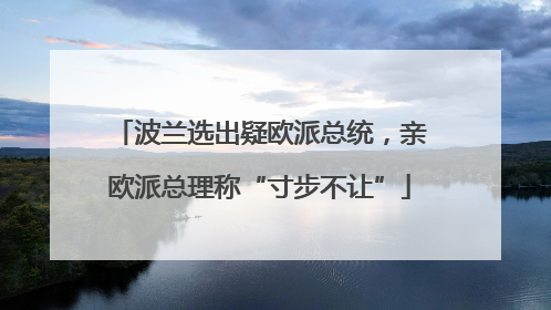波兰选出疑欧派总统，亲欧派总理称“寸步不让”