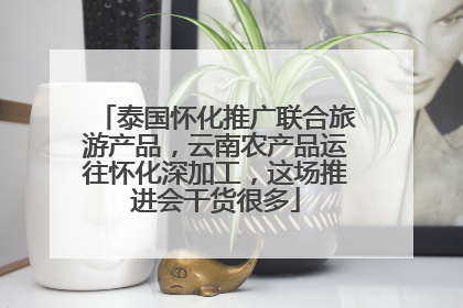 泰国怀化推广联合旅游产品，云南农产品运往怀化深加工，这场推进会干货很多