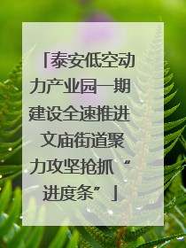 泰安低空动力产业园一期建设全速推进 文庙街道聚力攻坚抢抓“进度条”