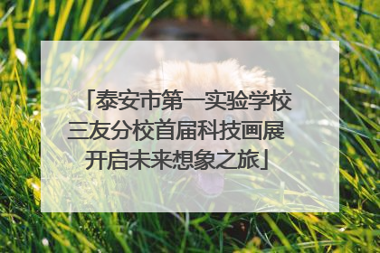 泰安市第一实验学校三友分校首届科技画展开启未来想象之旅