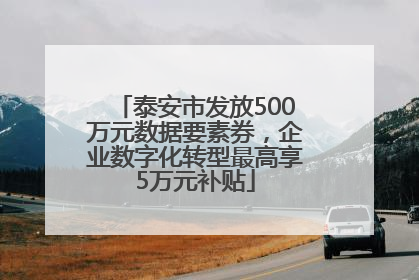 泰安市发放500万元数据要素券，企业数字化转型最高享5万元补贴