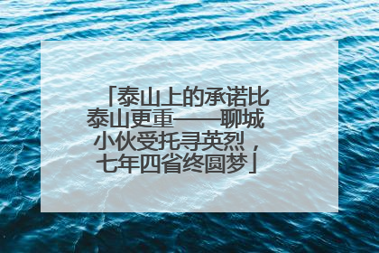 泰山上的承诺比泰山更重——聊城小伙受托寻英烈，七年四省终圆梦