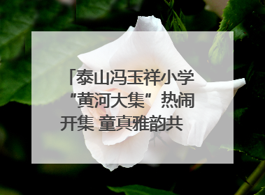 泰山冯玉祥小学“黄河大集”热闹开集 童真雅韵共谱文化华章
