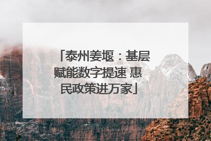 泰州姜堰：基层赋能数字提速 惠民政策进万家