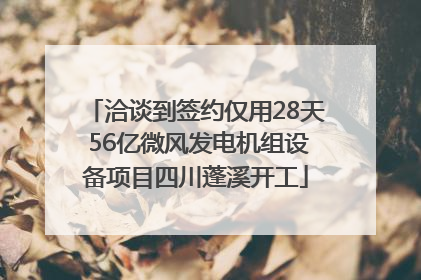 洽谈到签约仅用28天 56亿微风发电机组设备项目四川蓬溪开工