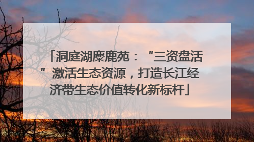 洞庭湖麋鹿苑：“三资盘活”激活生态资源，打造长江经济带生态价值转化新标杆