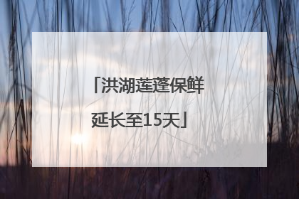 洪湖莲蓬保鲜延长至15天