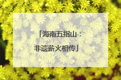 海南五指山：非遗薪火相传