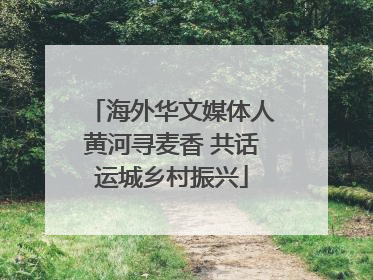 海外华文媒体人黄河寻麦香 共话运城乡村振兴