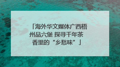 海外华文媒体广西梧州品六堡 探寻千年茶香里的“乡愁味”