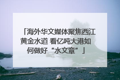 海外华文媒体聚焦西江黄金水道 看亿吨大港如何做好“水文章”